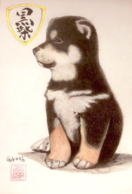 日本犬イラストのtwitterイラスト検索結果