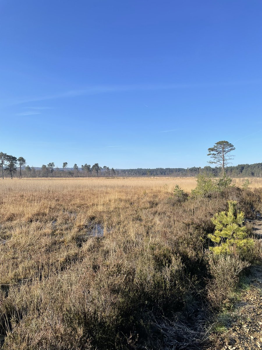 Strongjon's tweet image. Glorious morning out running for 10 miles