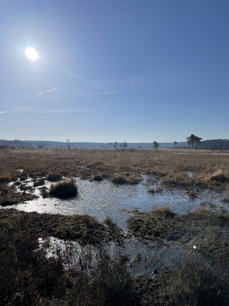 Strongjon's tweet image. Glorious morning out running for 10 miles