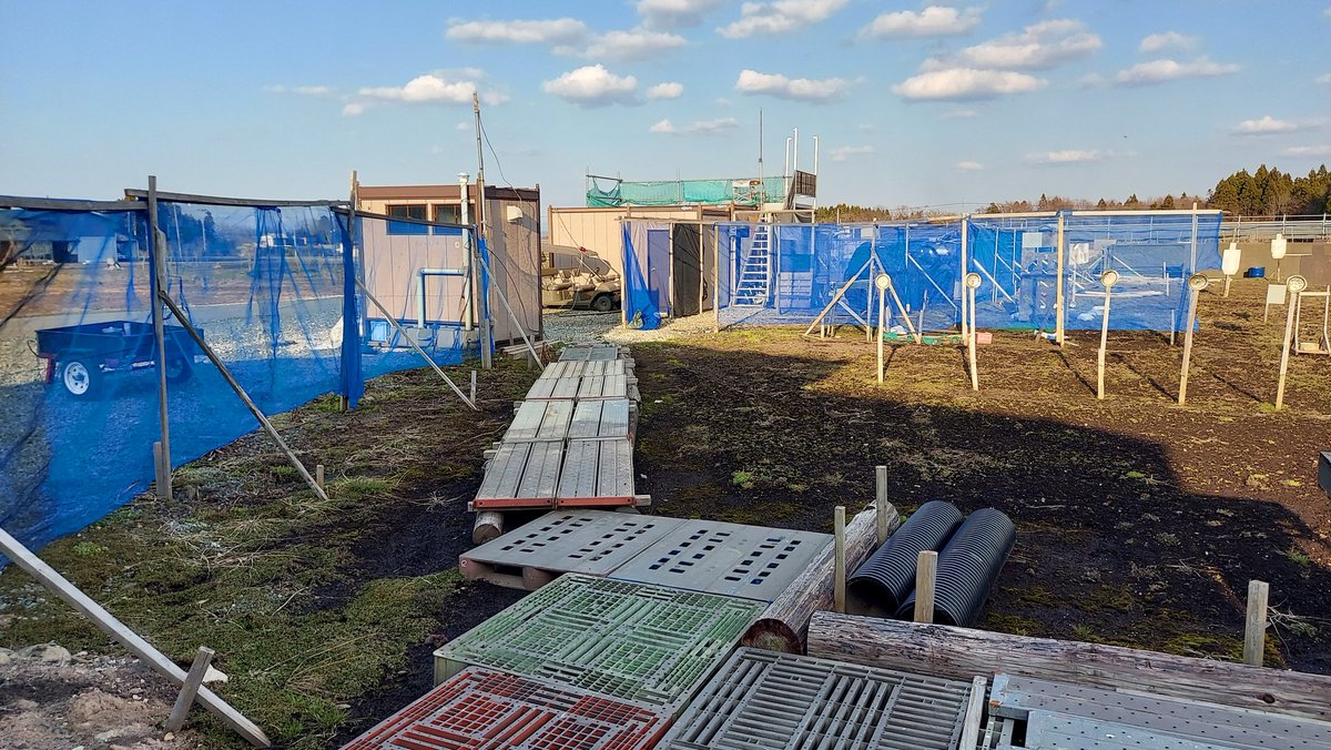 チェンソー講習が午前で終わったので復元作業！
取りあえず試射場とセーフティーの復元終了。
配線復元は本職の先輩にお願いしたし、引き続きフィールド内の復元に取りかかりまっす。
もう少々お待ちを。。。