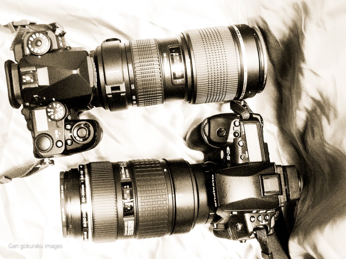 GStagephoto's tweet photo. OLYMPUS E-5
PENTAX K1
感じが似ている。
E-5の方がちょっと大柄。
(CANON POWERSHOT G5にて)
Gan, gokuraku images (極楽商会)
#olumpus #pentax #gokurakuimages #極楽商会 https://t.co/tqyYVOo0Uq