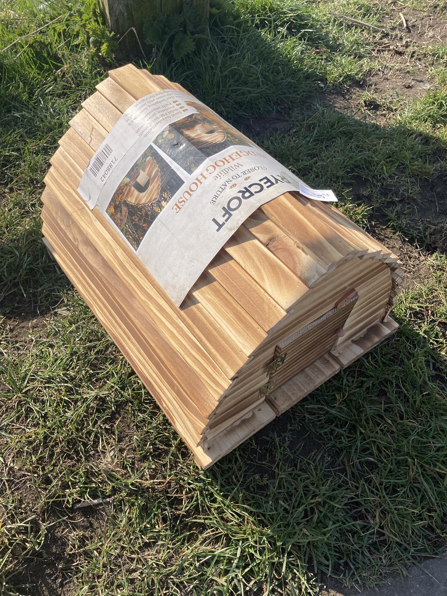 Miss Carnell tweet media