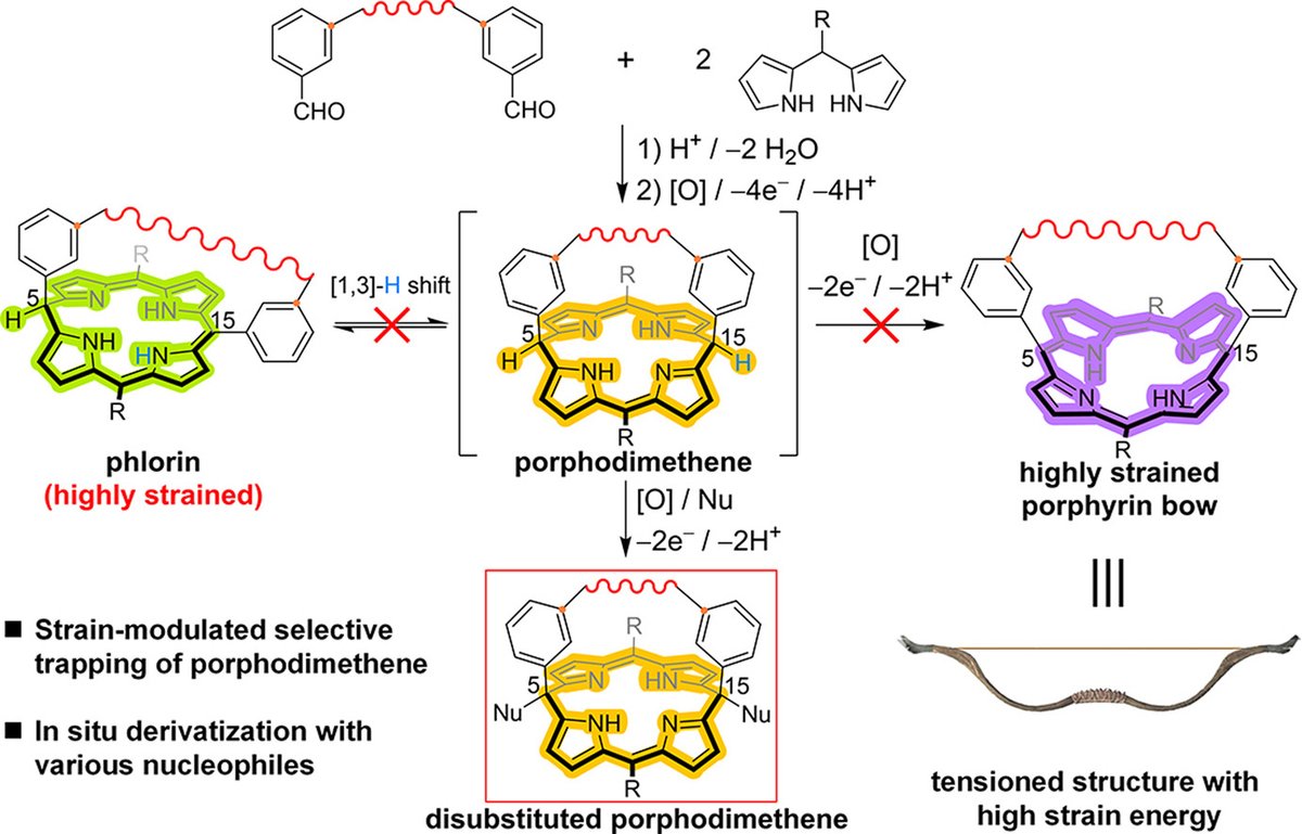 ChinChemLett's tweet image. These two papers demonstrate perfectly that molecular-strain engineering can steer the reaction trajectory through different #intermediates, providing the ability to control precisely the reaction #selectivity for desired products.
doi.org/10.31635/ccsch…
authors.elsevier.com/a/1eqlH8nHhtHF…