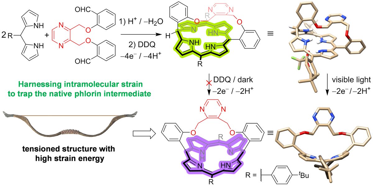 ChinChemLett's tweet image. These two papers demonstrate perfectly that molecular-strain engineering can steer the reaction trajectory through different #intermediates, providing the ability to control precisely the reaction #selectivity for desired products.
doi.org/10.31635/ccsch…
authors.elsevier.com/a/1eqlH8nHhtHF…