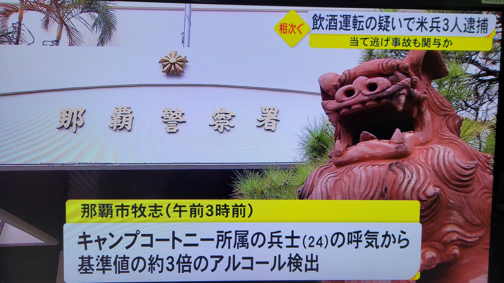 キャンプコートニー Twitter Search Twitter