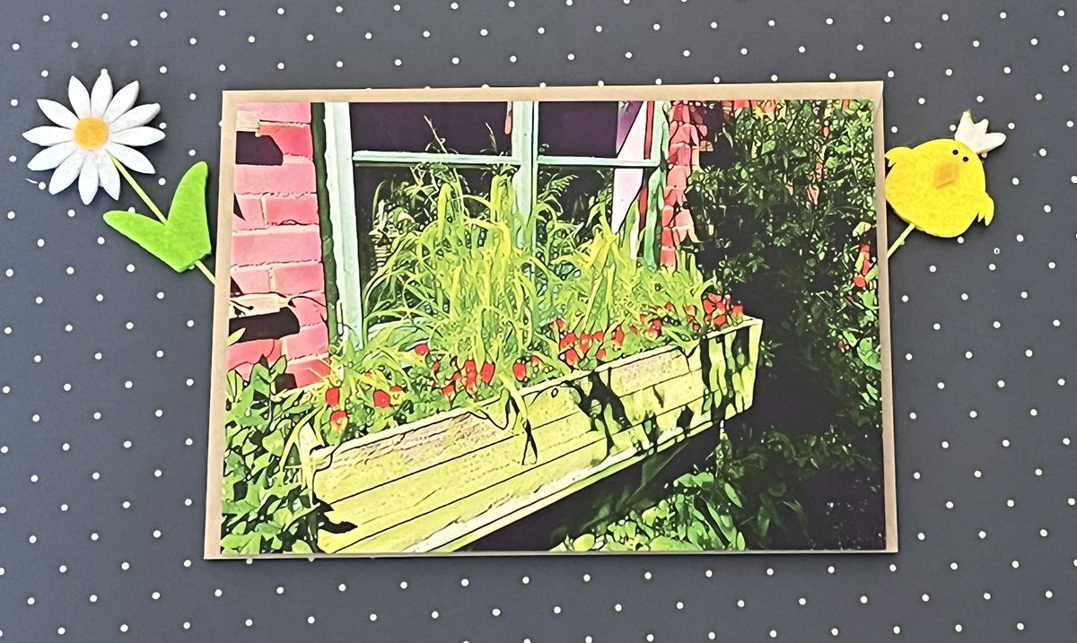 iSpyphotographs's tweet photo. Good #SundayMorning #iSpies and #UKGiftHour #UKGiftAM  
Working on the Spring ‘Collection’ 😹 📸 Very Limited Edition greetings cards. Not in shop yet so DM if you’d like one …#CountryWindow #supportsmallbusiness #shopindie #MHHSBD #SmartSocial 😻🐈‍⬛ https://t.co/cnBUOzFKIp