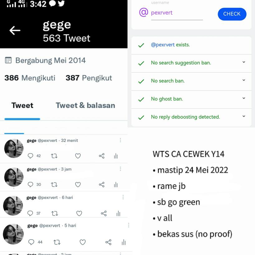 huiqyeon's tweet photo. ─ wts acc ca sell in rush hari ini aja

💰12,OOO

☁ v all
☁ mastip 24 mei 2022
☁ dapet wa verif + pw email
☁ go green
☁ folls bisa naik
☁ masuk ht+mt non moots
☁ ada space

💸 payment dana/spay
bisa dm buat tanya-tanya
#zonaba #zonauang #zonajajan https://t.co/Vc9WFHdLco