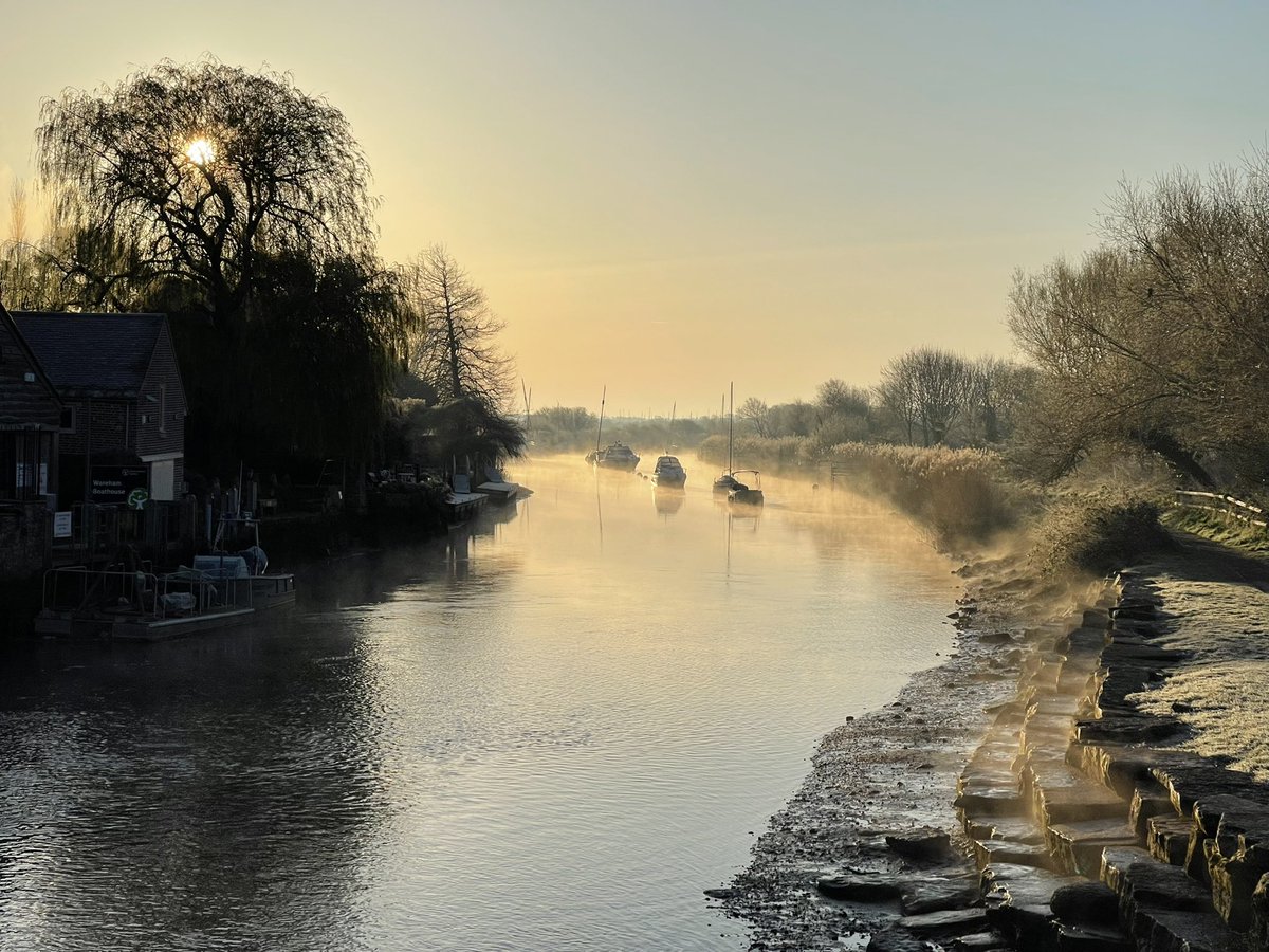 Diane Barlow tweet media