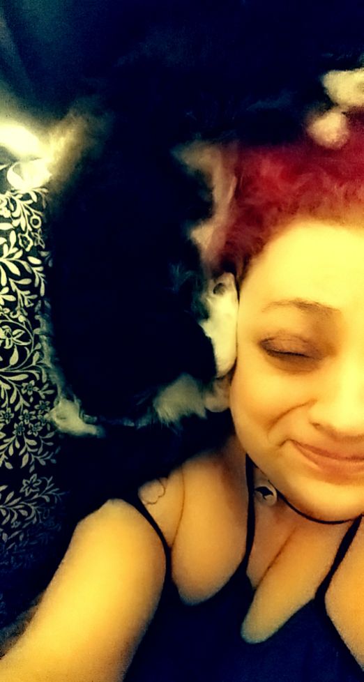 michellenolde33's tweet photo. Little Luna being a nerd and sensing depression introduces upside down cuddles. #nerd #upsidedown #cuddles #puppylove #emotionalsupport #luna https://t.co/VJ92ugFpBp