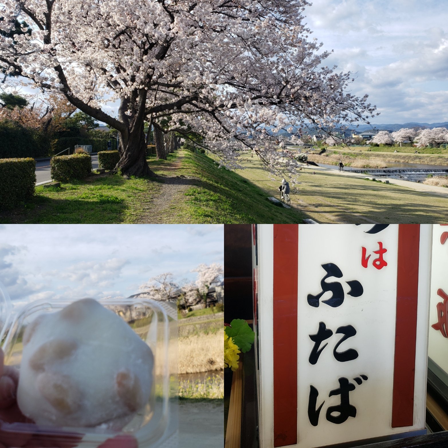 京都の美味しいもん Twitter Search Twitter