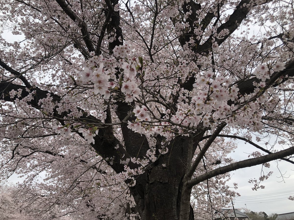 weltklang1's tweet photo. 小林牧場行ってきた〜 https://t.co/8ofVIyE9ZB