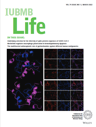 Read🔎IUBMB Life 74_3 issue here👉iubmb.onlinelibrary.wiley.com/toc/15216551/2… ♦️Selection for the diversity of #Spikeprotein ♦️#Metformin improves #lungdevelopment in BPD ♦️#Anti-tumor properties of #pyrimethamine