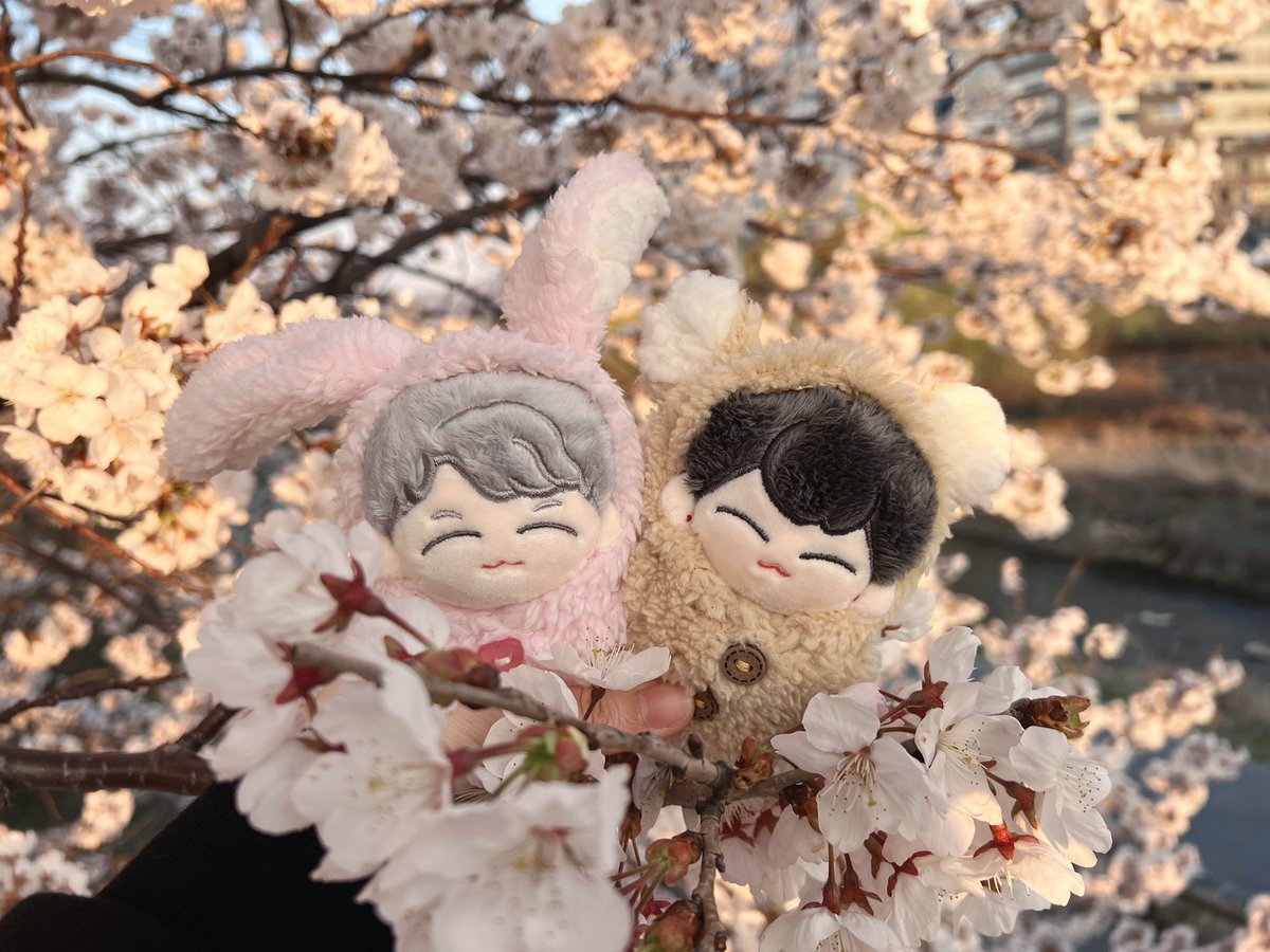 ssoieum's tweet photo. 좋은 주말입니다🌸 https://t.co/BBQuaTP7RR