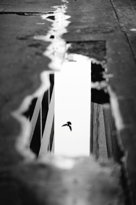 Noirflyer tweet media
