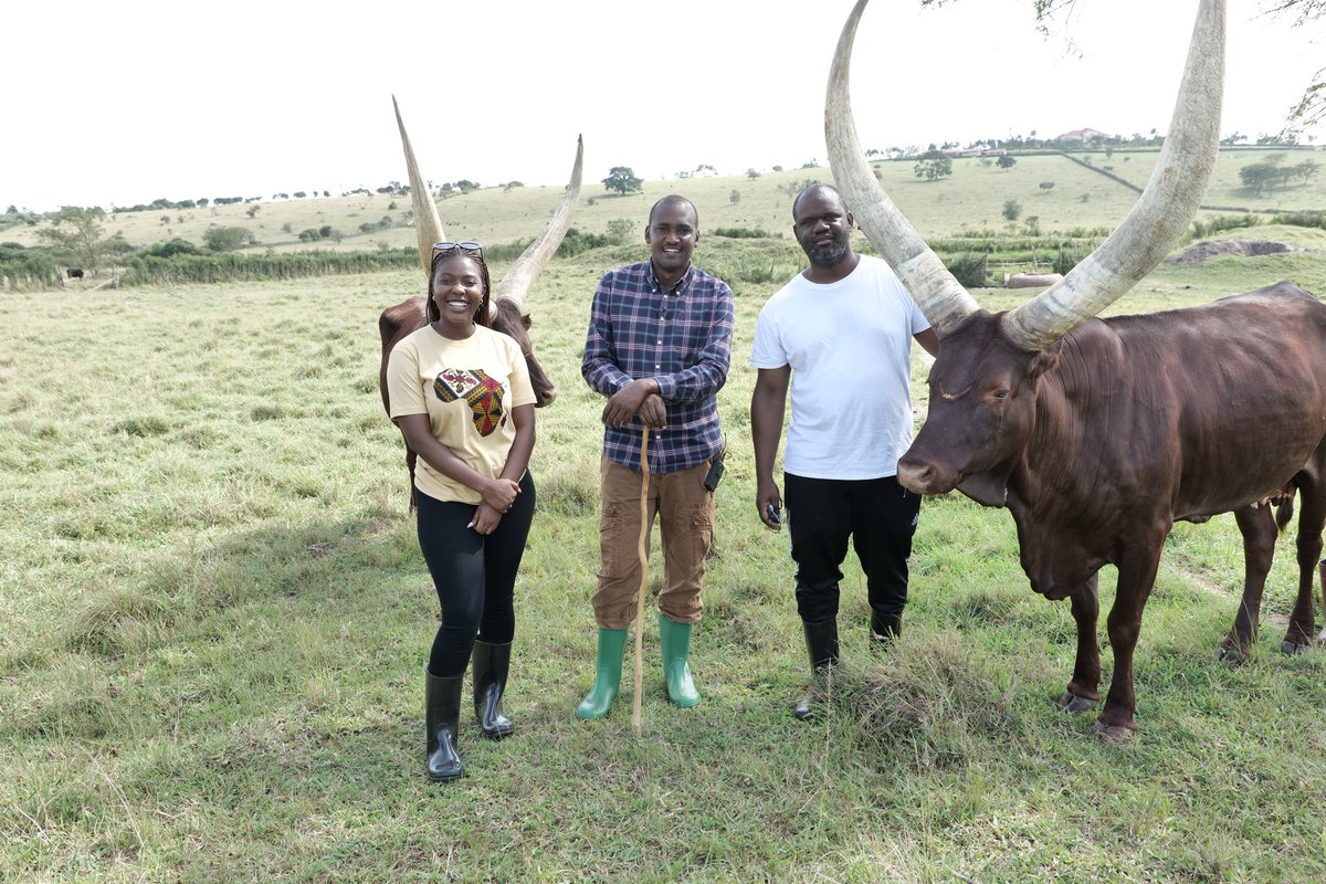 Frank K Tumwebaze,MP: Isaiah 41: 11 tweet media