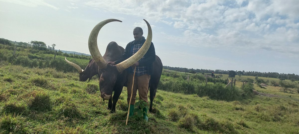 Frank K Tumwebaze,MP: Isaiah 41: 11 tweet media