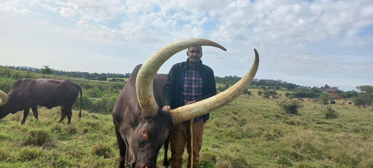 Frank K Tumwebaze,MP: Isaiah 41: 11 tweet media