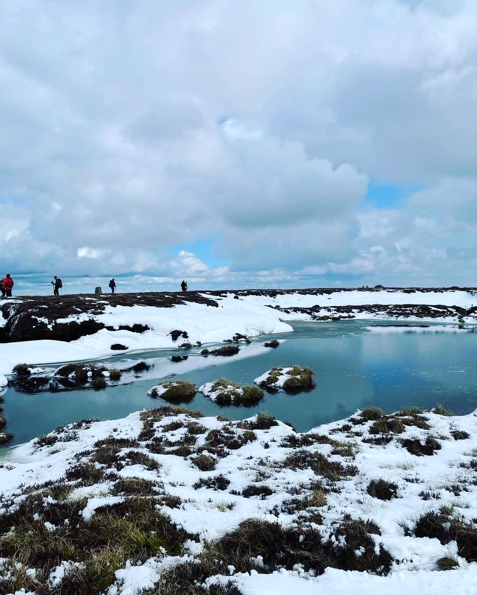 Stewart Pringle tweet media