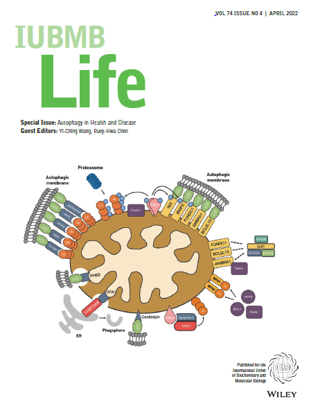 📢#IUBMB Life Special Issue on 'Autophagy in Health and Disease'👉iubmb.onlinelibrary.wiley.com/toc/15216551/2… ✅#Autophagy and #cancermetabolism ✅#Mitophagy in #aging and #Longevity ✅#Autophagy and #Antiviral Defense #mitochondria #neurodegeneration #CancerResearch #mTOR #drosophila #Biology #ERAD
