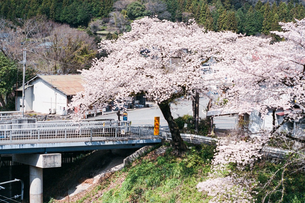 c_10f's tweet photo. Spring day https://t.co/Xfe7WIphAY