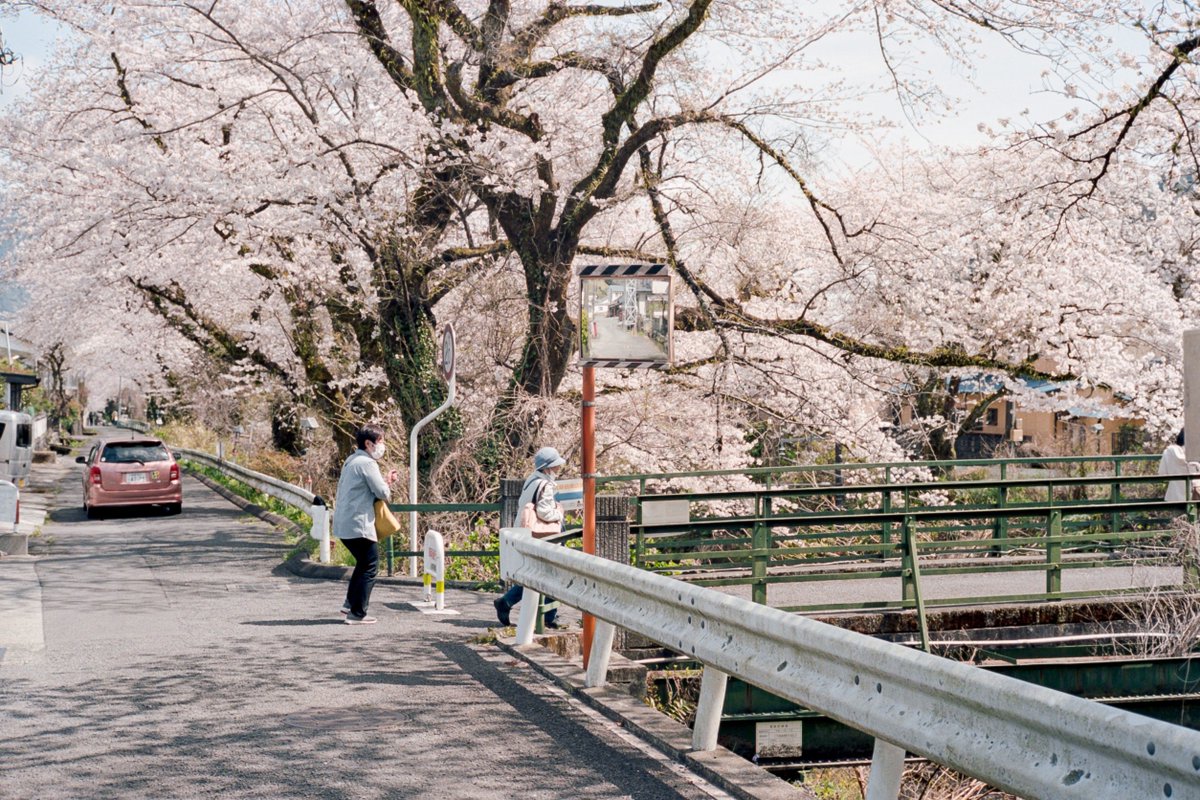 c_10f's tweet photo. Spring day https://t.co/Xfe7WIphAY