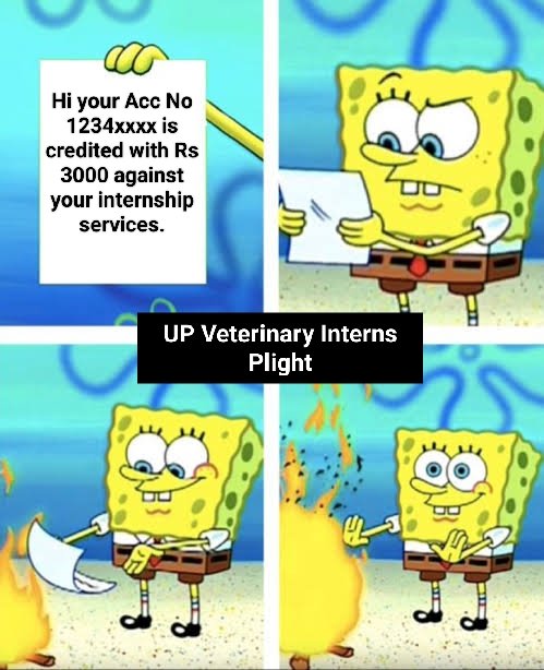 We Veteranians, Our plight, Our fight. Increase our Allowence from Rs 3000 to 15000 per month.
#Increase_UP_vets_stipend

<a href="/ChiefSecyUP/">S.P. Goyal, Chief Secretary, GoUP</a>
<a href="/UPGovt/">Government of UP</a> <a href="/myogiadityanath/">Yogi Adityanath</a>
<a href="/dharampalbjpmla/">Dharampal Singh</a> <a href="/drsanjeevbalyan/">Dr. Sanjeev Balyan</a> <a href="/PMOIndia/">PMO India</a>
