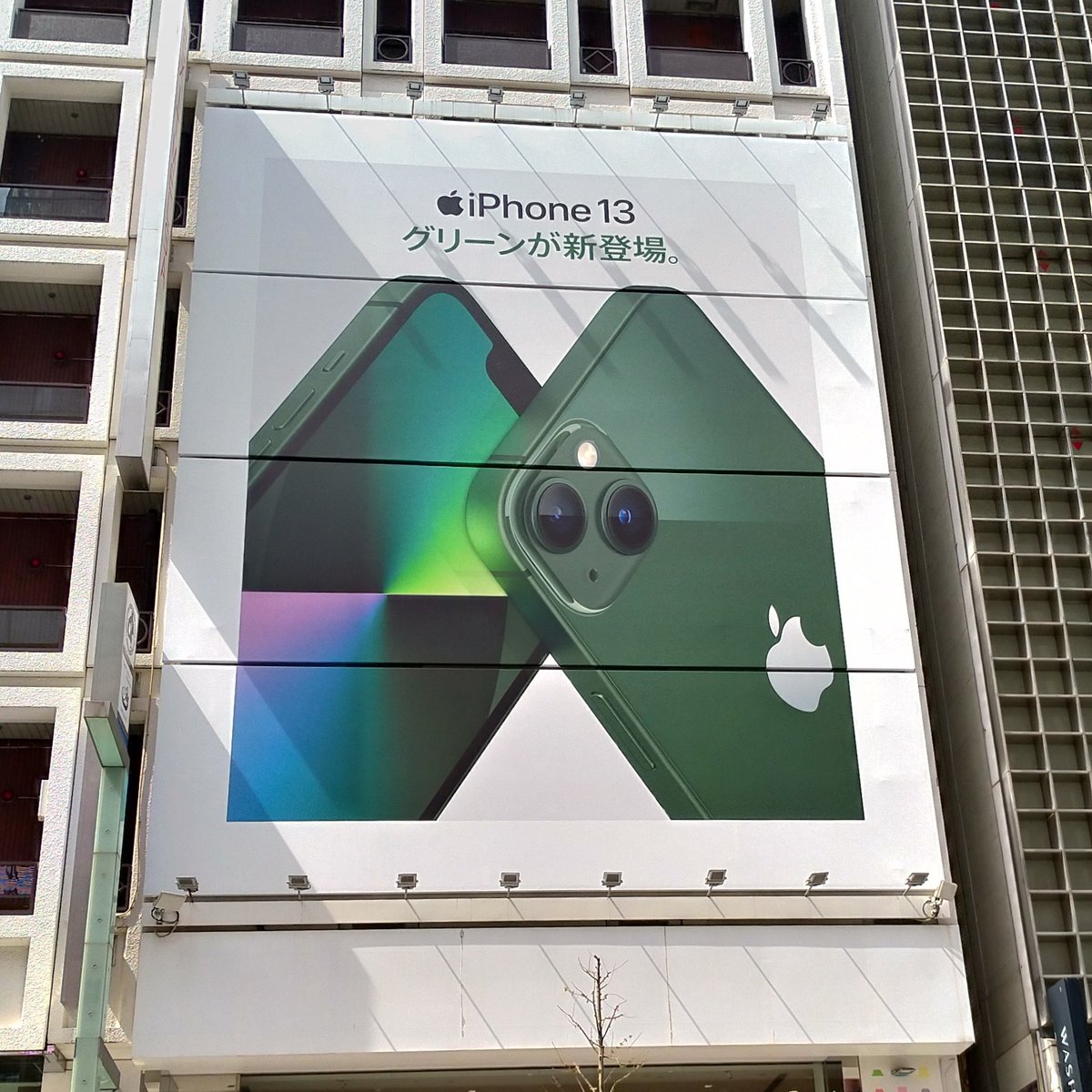 apple_japan's tweet photo. iPhone 13 と iPhone 13 Pro に、ワイルドなグリーンが仲間入り
Apple 広告 @銀座中央通り（昨日撮影） https://t.co/uSec1fP4JC