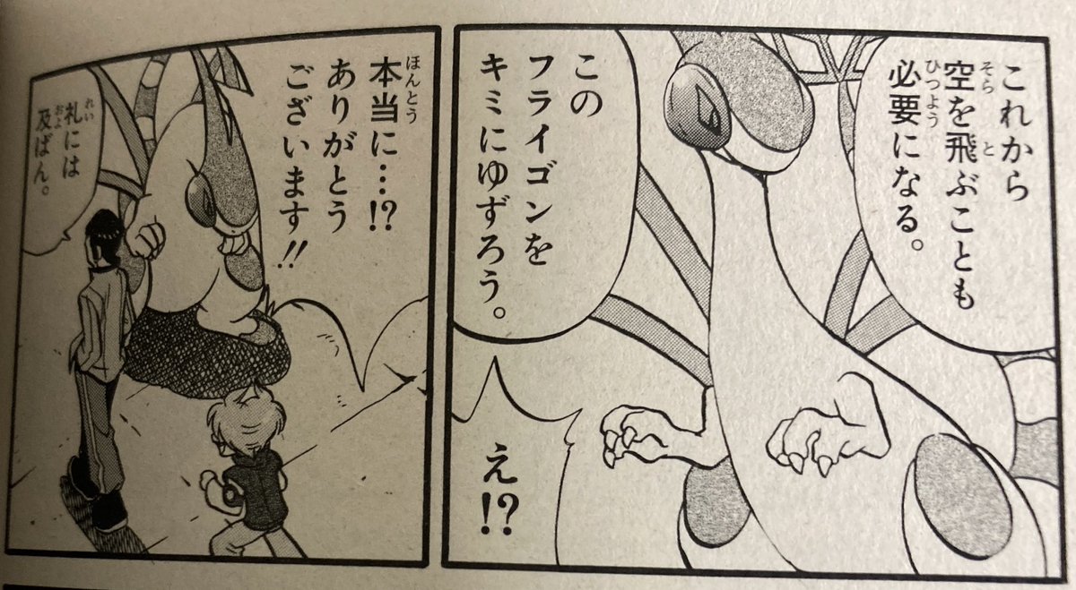 ポケスペのミツルくん
空を飛ぶ要員で譲ってもらったフライゴンを解雇してジバコイルを使ってる 
