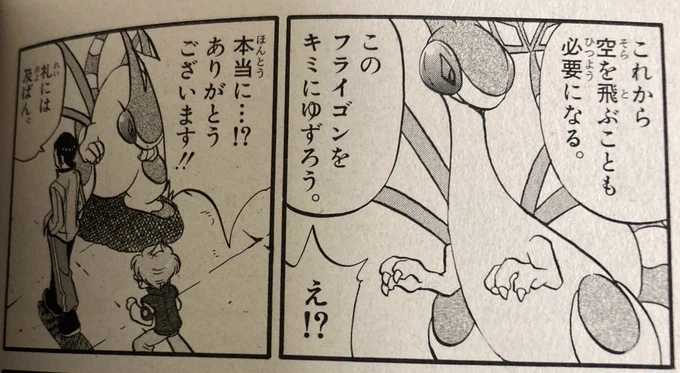 ポケスペのミツルくん
空を飛ぶ要員で譲ってもらったフライゴンを解雇してジバコイルを使ってる 