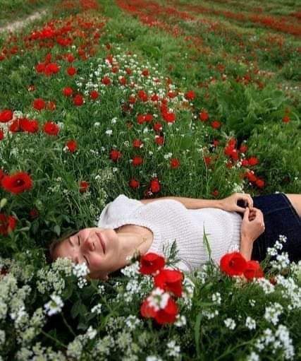 maviiask35's tweet photo. @Sevgibilmezki Sevginin yakışmadığı 
yer mi var ?
Nereye koyarsan oraya
yakışır...
Yeter ki, sevmesini bil...💕💕
#Günaydın_mutlu_pazarlar #tatlim🤗😘🥰
           #MAVİŞŞ ❤️☺ https://t.co/CwY1nx8syX