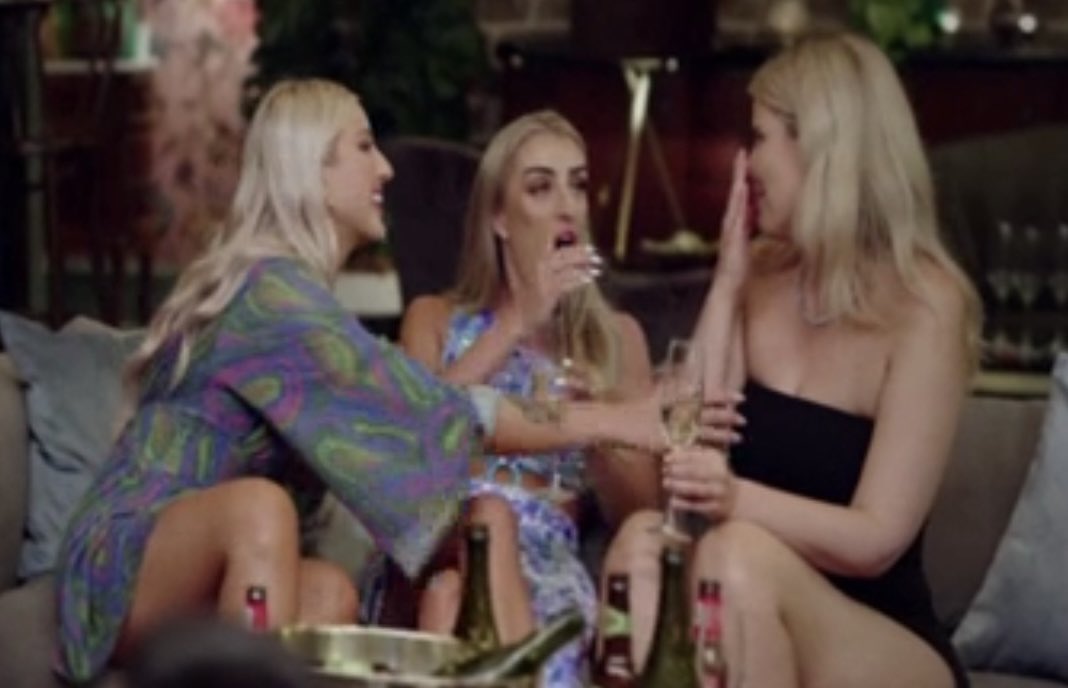 Builder Bird tweet media