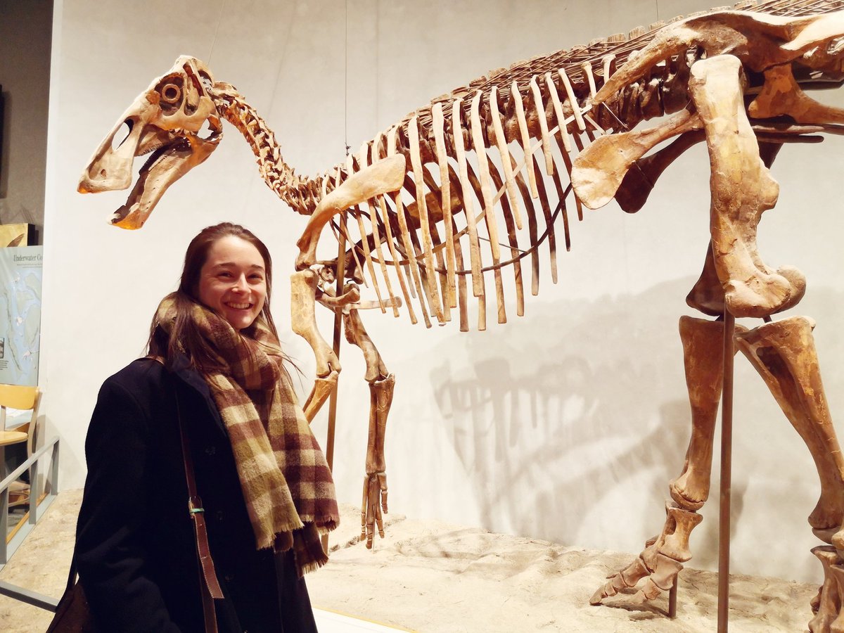MathieuDomalain's tweet photo. On our way back home, goodbye #AABA2022, that was amazing! Especially the talk of Alicia Blasi-Toccacceli, PhD student from @palevoprim! The curator of @DenverMuseumNS also offered us a private tour of the collections. https://t.co/xm2H16Dj5a