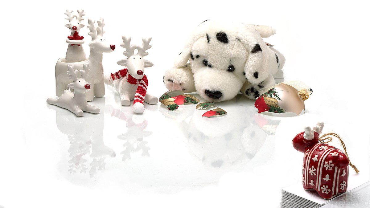 CartersProduct's tweet image. The drive up from Manor to The Lakes studio is the prelude to a busy week. Carters Product Photography photograph fine china while our sister company Carters Mounts makes "Golf Folders" for The Celtic Manor today, "Race Day Folders" for Newmarket / Al Basti for Friday.  Carters .