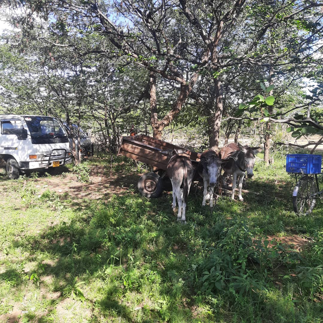 Mahlabangadli's tweet photo. No zupco, no free food, no Tshirts just citizens organizing themselves... Citizens Coalition for Change #letstryNero #letsfundrural #ruralchampion @BabaKaAndiswa @zamoepre @Mamoxn @drjaytee87 https://t.co/k5woS1vKCr