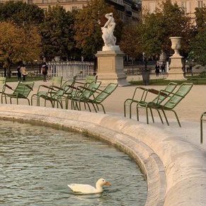 tonesofscorpio's tweet photo. loving these gardens and this kind of dates 🦢 https://t.co/p0yd7b0PPP