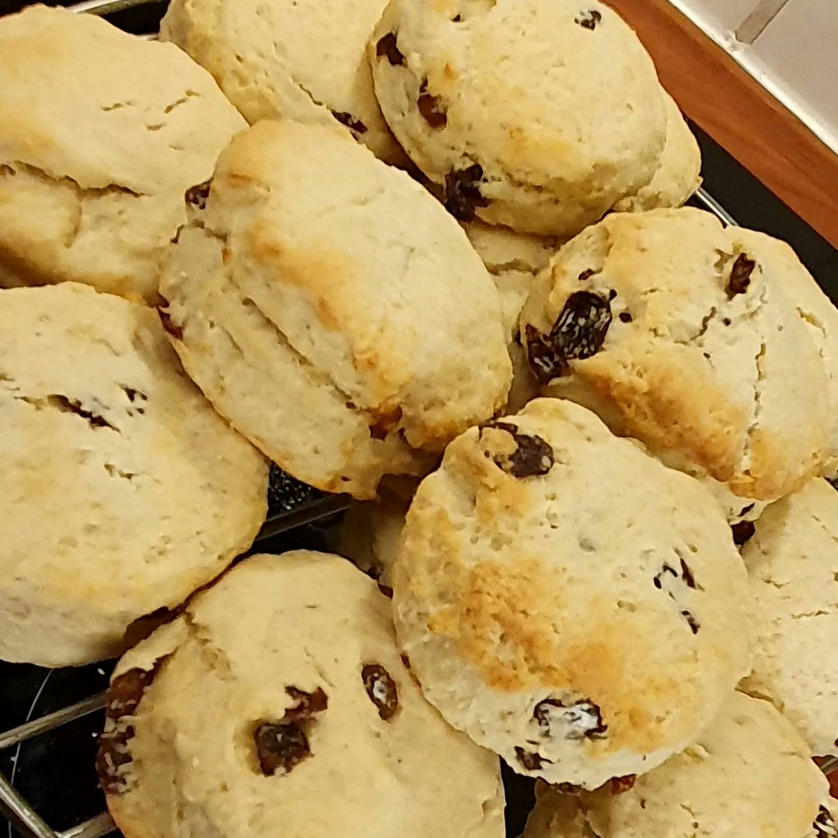 incidental_the's tweet photo. Fruit scones - summer cream teas  #scones #CREAMTEA #jamandcream #homemaking 
https://t.co/K8U6s7Mcfy https://t.co/dCf7XIigcW