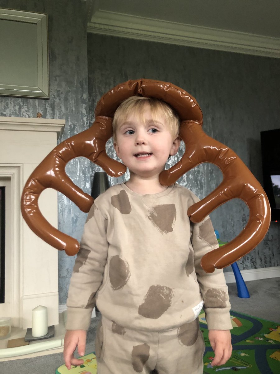 Julieru's tweet image. Happy 3rd birthday to my little mate Dexter love you lots 🥰