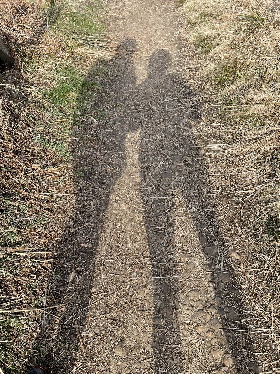 Heidi Curry tweet media