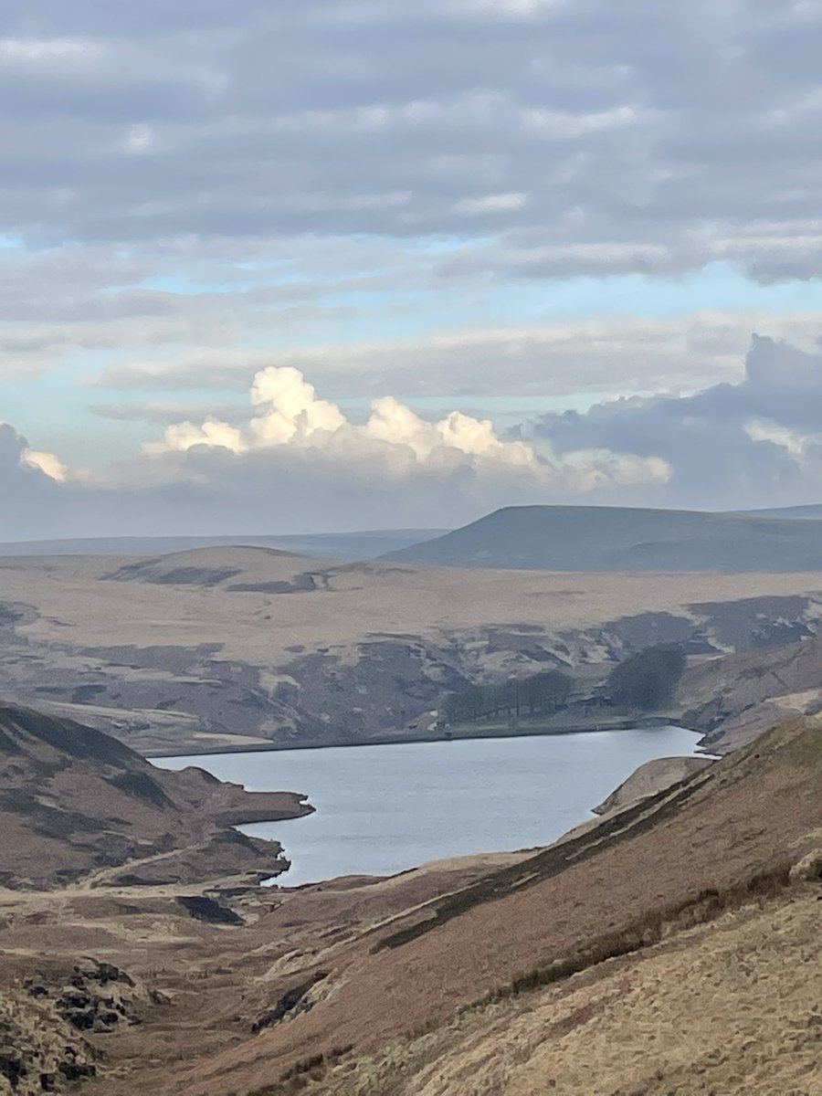 Heidi Curry tweet media