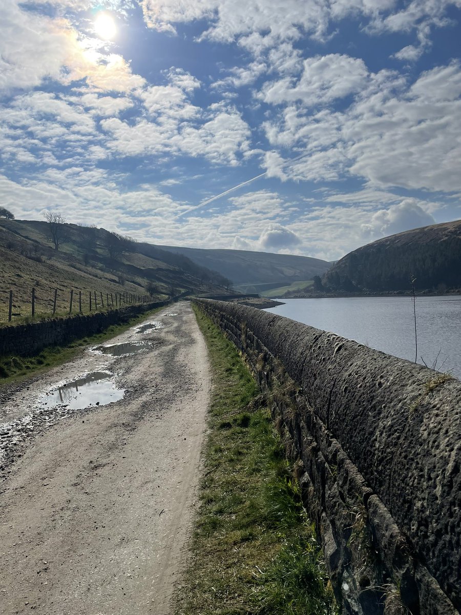 Heidi Curry tweet media