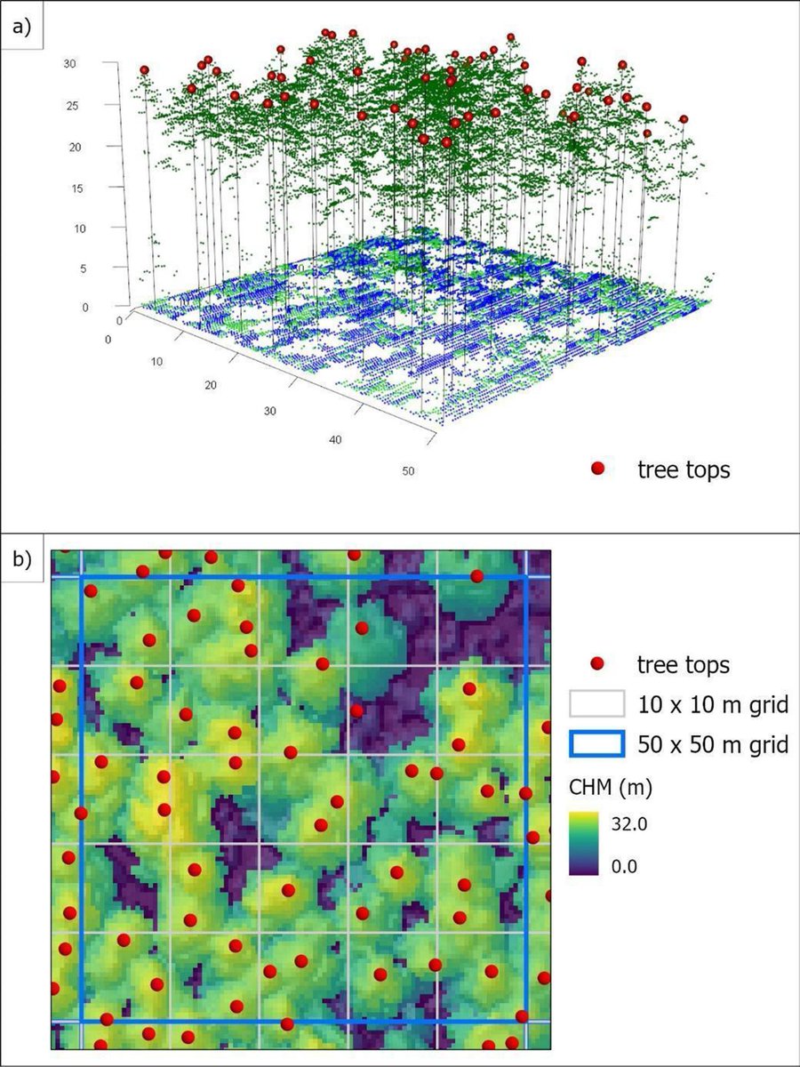 jaroslaw_socha's tweet photo. 📢New paper! We used bitemporal ALS data for the development density-dependent height growth model for Scots pine. We found that higher stand density stimulated height growth. 🛰️#remotesensing #LIDAR #treegrowth #siteindex #standdensity
https://t.co/h1HxPo785q https://t.co/HBH65YSQmN