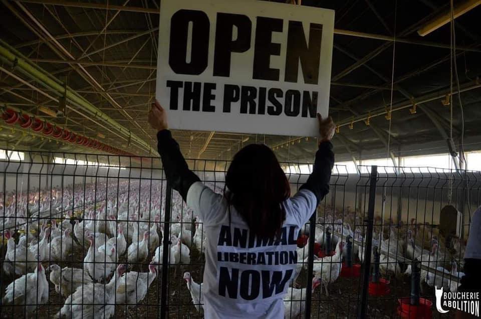 Julesk23's tweet photo. REPAIR A CAMP AND DELIVER THEM:
MAP OF CONCENTRATION CAMPS 
❌ No more movies, acts! Let's open the farms! To abolish slavery, let's free slaves! #ElevageAbolition
#FreedomCantWait #OpenTheCages #OpenTheFarms #EndHusbandry 
#AnimalLiberationNow #AnimalLiberation https://t.co/tEpeedPVDo