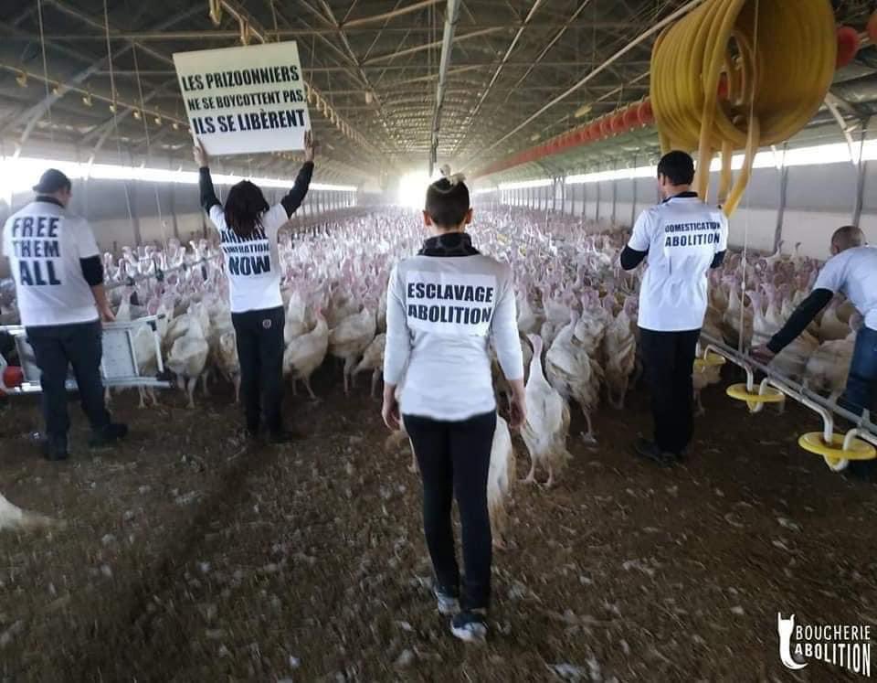 Julesk23's tweet photo. REPAIR A CAMP AND DELIVER THEM:
MAP OF CONCENTRATION CAMPS 
❌ No more movies, acts! Let's open the farms! To abolish slavery, let's free slaves! #ElevageAbolition
#FreedomCantWait #OpenTheCages #OpenTheFarms #EndHusbandry 
#AnimalLiberationNow #AnimalLiberation https://t.co/tEpeedPVDo