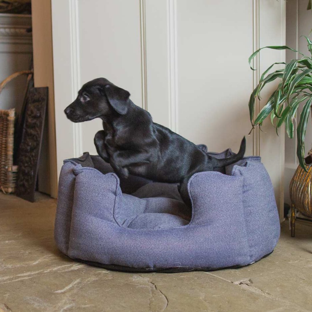 lordsandlabs's tweet photo. It's #NationalTweedDay 🤍⁠
⁠
And to celebrate, we've launched a brand new tweed range, we just know you'll love! Introducing our brand new Herringbone Tweed Collection 😍⁠
⁠
Featuring 3 gorgeous colour ways, our Natural, Pewter and Oxford, what will you pick? https://t.co/KTmL2GfXjl