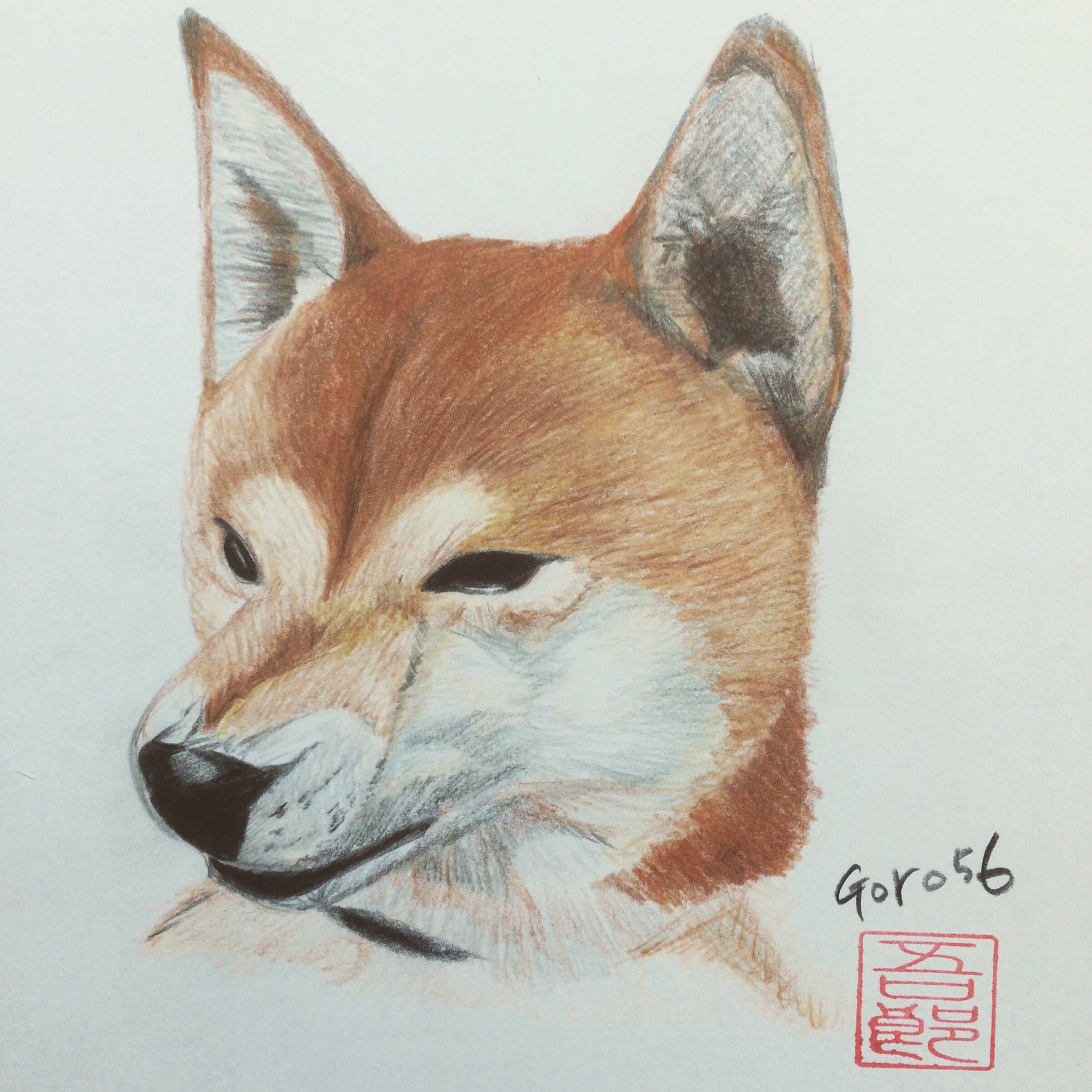 تويتر 大阪吾郎アートスタジオ على تويتر チャチャちゃんイラスト 柴いぬイラスト 柴犬イラスト 日本犬イラスト 柴犬 T Co Rmvmnc2ulo