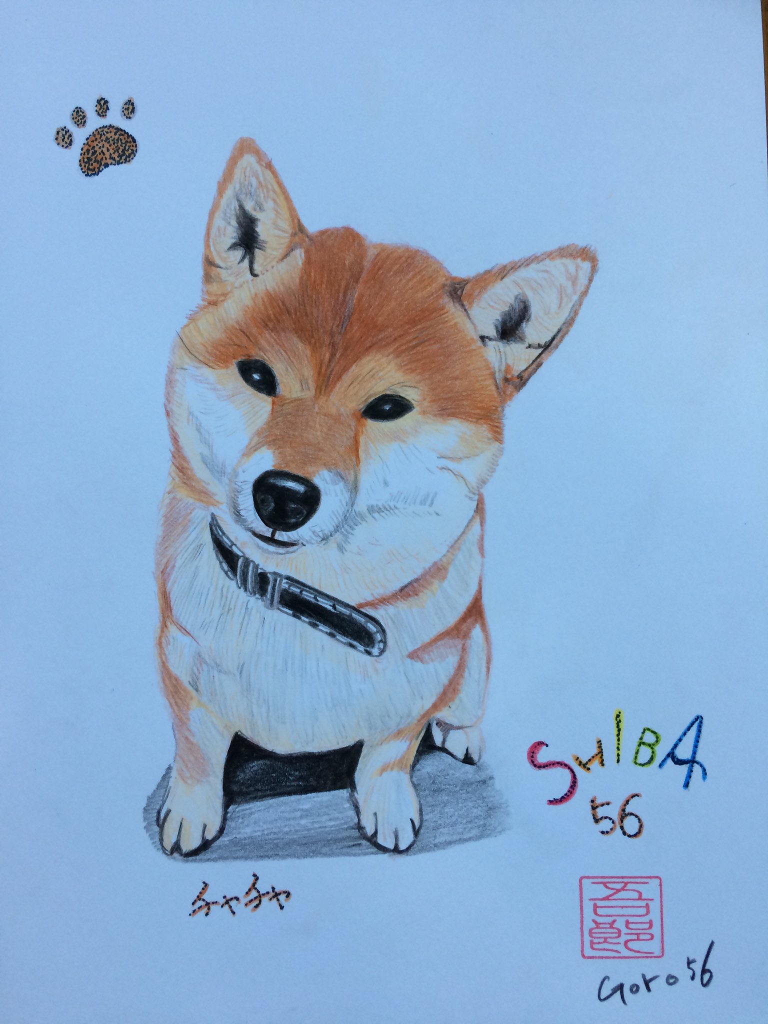 تويتر 大阪吾郎アートスタジオ على تويتر チャチャちゃんイラスト 柴いぬイラスト 柴犬イラスト 日本犬イラスト 柴犬 T Co Rmvmnc2ulo