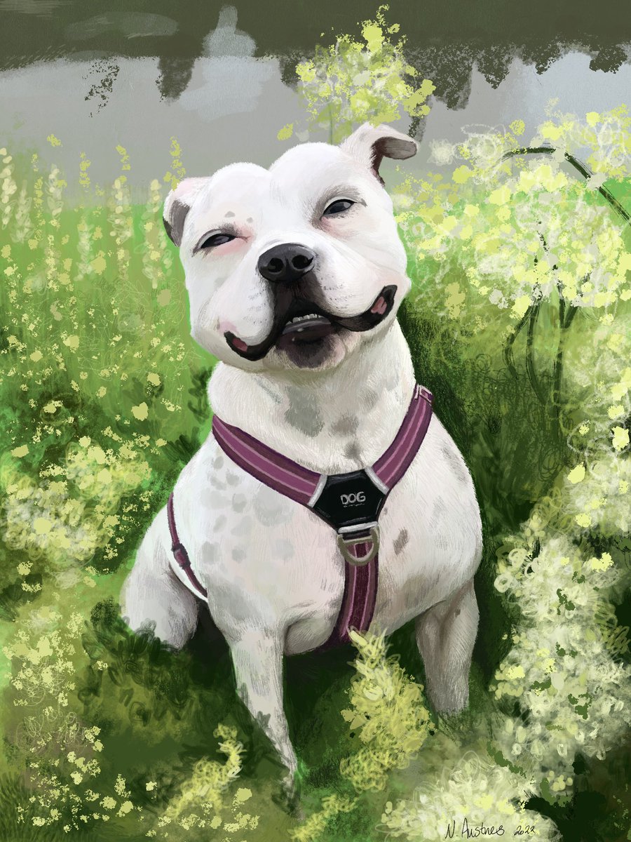 🐨KiaKebab🐨 tweet media