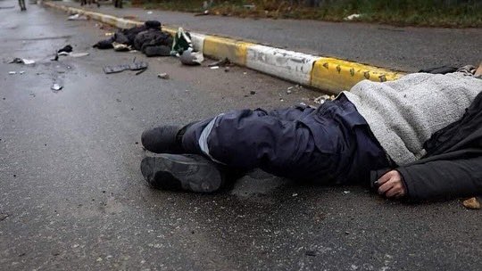 Anna Alimenkova tweet media