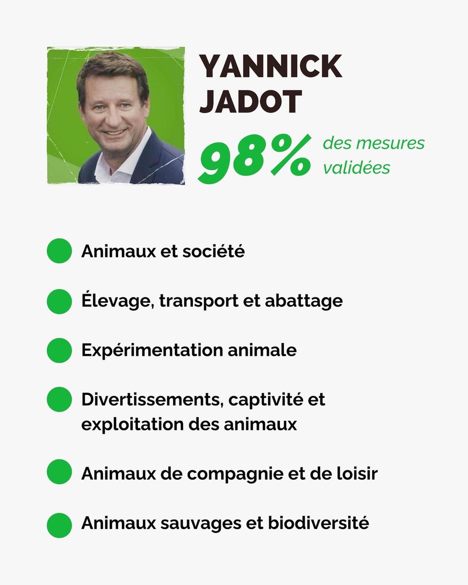 Sur la condition animale, 29 ONG rassemblées dans engagement-animaux.fr considèrent que le programme de <a href="/yjadot/">Yannick Jadot</a> est 1er ex-æquo