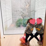 ツイートに含まれる画像